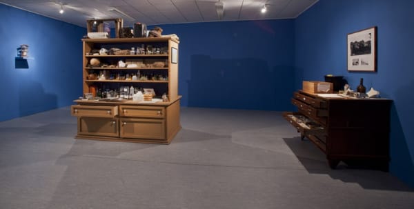 image of Mark Dion installation with filled cabinet