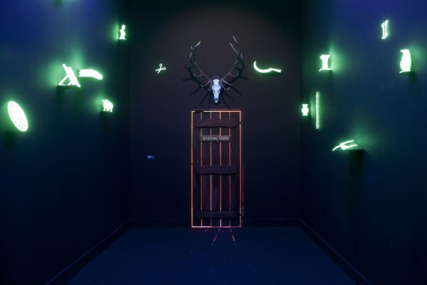 image of Mark Dion installation / glow in the dark objects