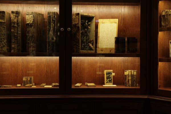 Image of Mark Dion installation, large circular bookcase cabinet