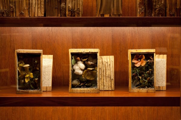 Image of Mark Dion installation, large circular bookcase cabinet