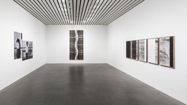 Image of Lisa Oppenheim tree grain photograms