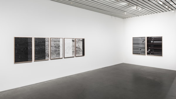 Image of Lisa Oppenheim spine photographs and tree grain