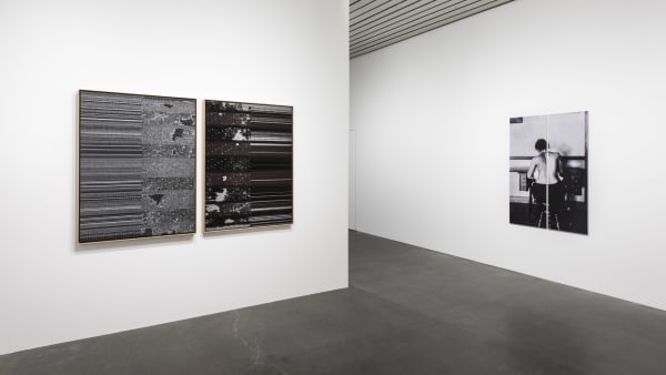 Image of Lisa Oppenheim spine photographs