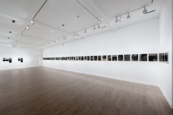 Image of Lisa Oppenheim long series of moons