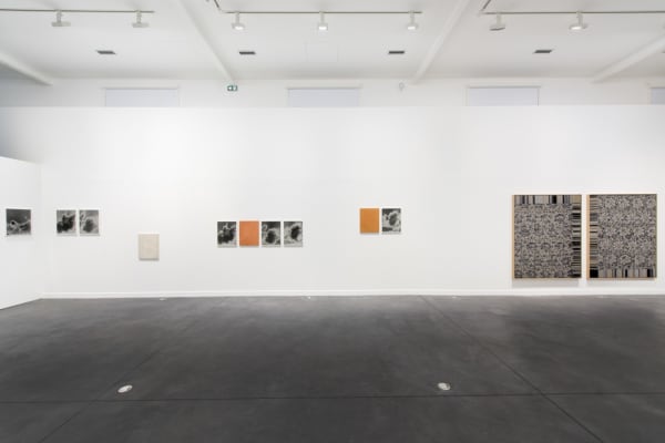 Image of Lisa Oppenheim photographs installation with smoke series
