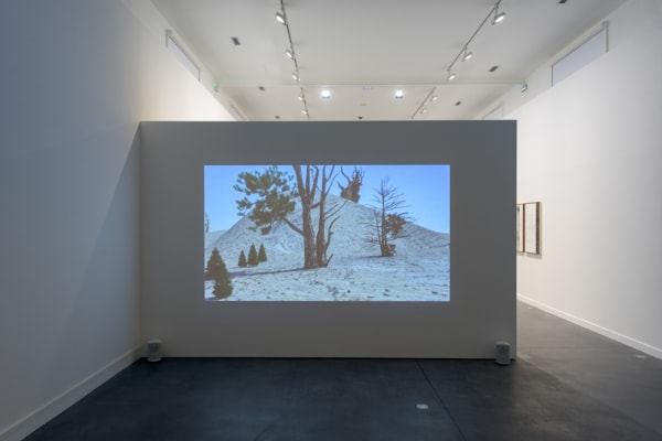 Image of Lisa Oppenheim projection
