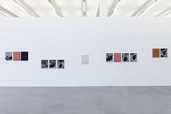 Image of Lisa Oppenheim photographs installation with smoke series