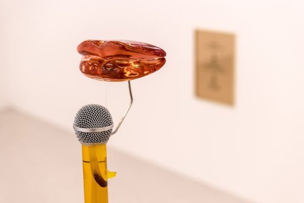 Image of Slavs and Tatars lip microphone