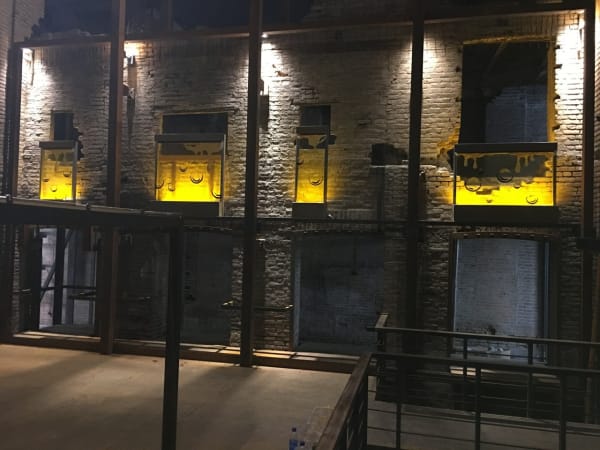 Image of Slavs of Tatars installation view