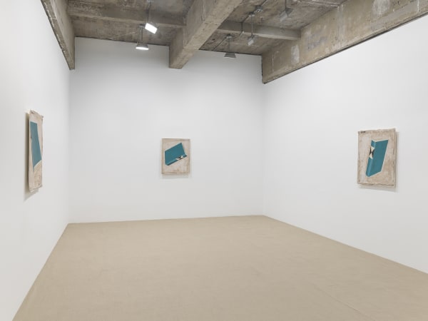 Manders installation at TBG, room with dead birds