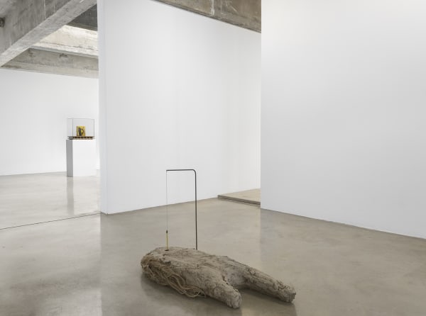 Manders installation at TBG, sculpture on ground