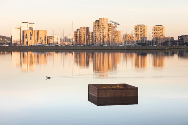 image of a crate floating in the river
