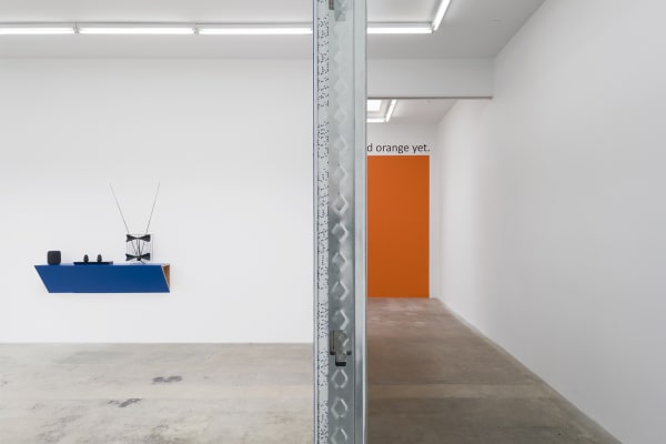 Haim Steinbach installation view 2 rooms