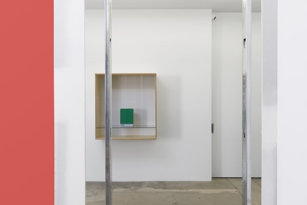 Haim Steinbach installation view pantone box