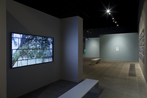 Image of Wearing video installation, still image