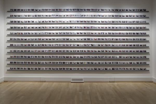 rows of Gillian Wearing polaroids