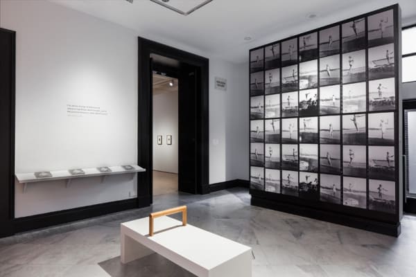 Installation view of Gillian Wearing at National Portrait Gallery, photographs