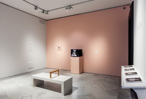 Installation view of Gillian Wearing at National Portrait Gallery, photographs and sculpture in vitrine