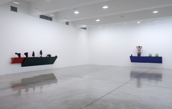 Haim Steinbach installation view of shelves