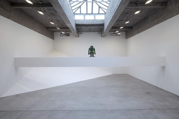 Haim Steinbach installation view of creature