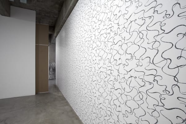 Haim Steinbach installation view of wall construction