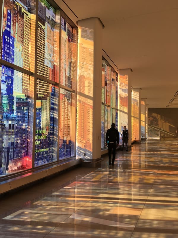 image of Sabine Hornig transparent window coverings at la guardia