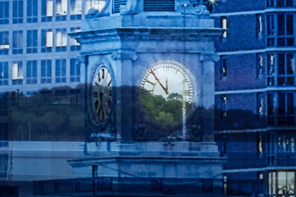 image of Sabine Hornig transparent window coverings at la guardia