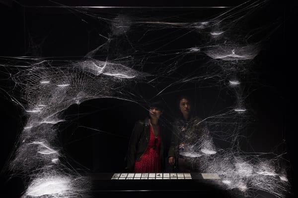 spider tarot cards and spider web installation