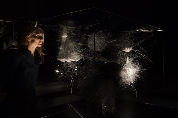 installation image of Saraceno exhibition at Palais de Tokyo