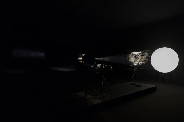 installation image of Saraceno exhibition at Palais de Tokyo