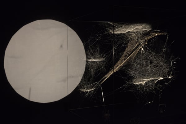 installation image of Saraceno exhibition at Palais de Tokyo