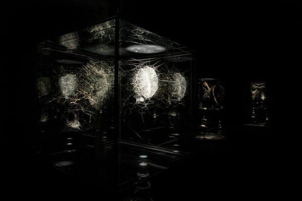 image of spotlit spider webs in dark room