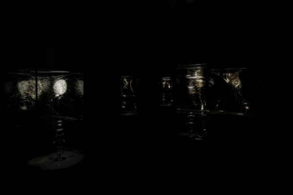 image of spotlit spider webs in dark room