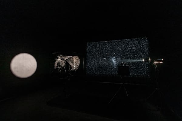 image of spotlit spider webs in dark room