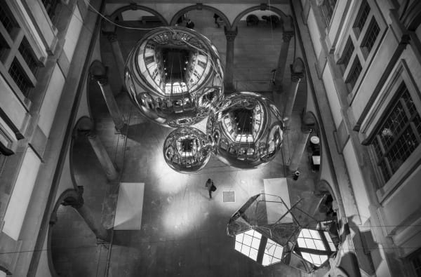 image of biosphere sculptures hanging