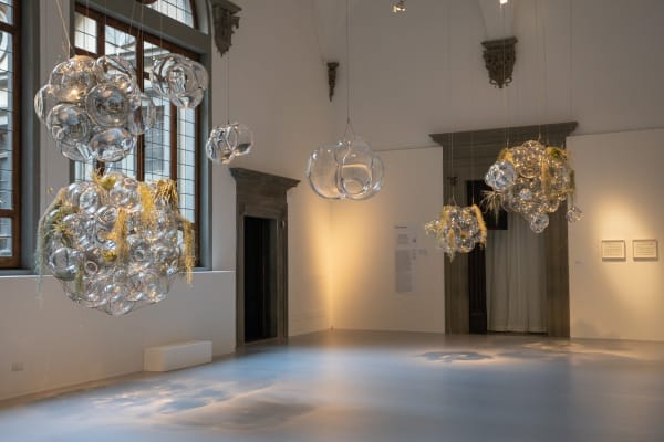 image of biosphere sculptures with plants