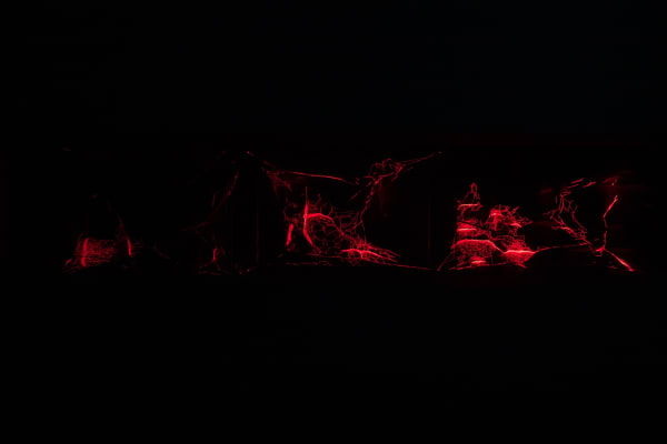 image of red laser spider webs in dark room