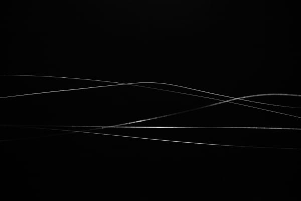 image of spider web
