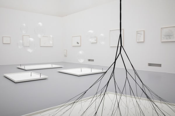 image of spider web drawings