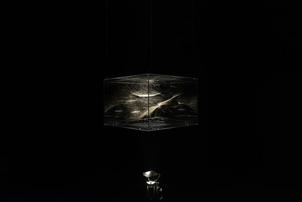 image of a Saraceno spider web sculpture spotlight