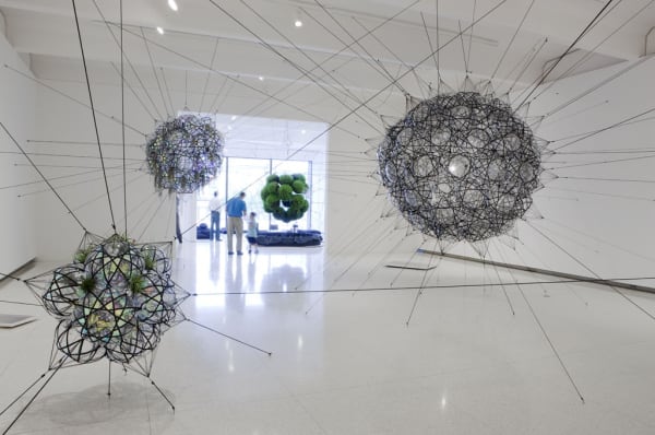 image of Saraceno biosphere and cloud ciites with wallpaper of cloud ciites