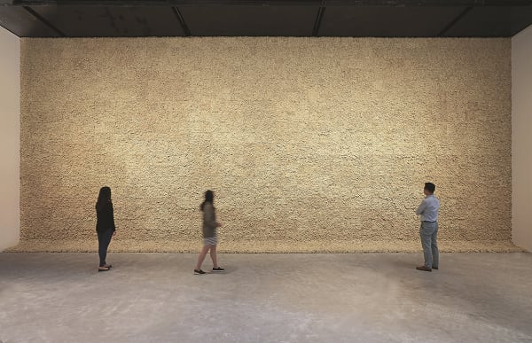 Installation image of Eliasson exhibition, wall of moss