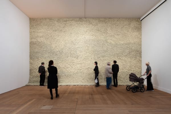 image of moss wall