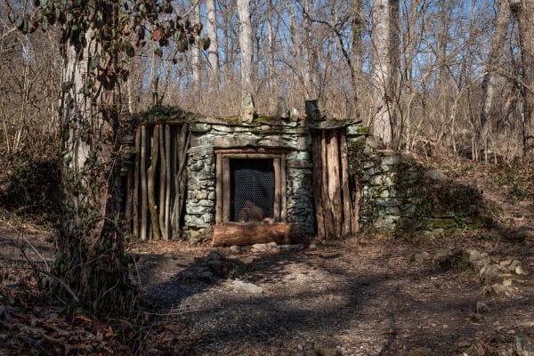 image of bear hut