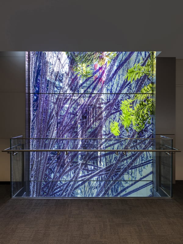 transparent imagery on windows