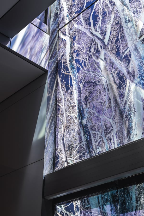 transparent imagery on windows