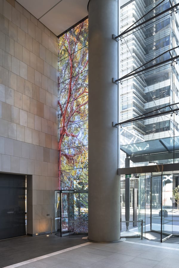 transparent imagery on windows