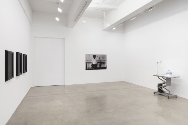 This is a installation image of "Songs in the Dark" at Tanya Bonakdar Gallery, New York, 2020.
