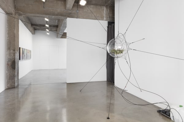 This is a installation image of "Songs in the Dark" at Tanya Bonakdar Gallery, New York, 2020.