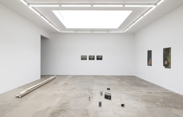 Installation view of Living in a lightbulb.